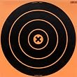 Big Burst Targets Big Burst 12" Round - 3 Targets