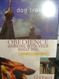 Obedience Working with Your Adult Dog