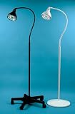 Designer Incandescent Exam Lamp