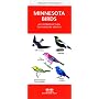 Minnesota Birds