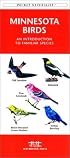 Minnesota Birds