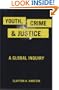 Youth, Crime, and Justice: A Global Inquiry (Critical Issues in Crime and Society)