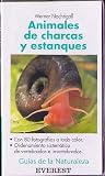 Image of Animales de charcas y estanques (Guias De La Naturaleza)