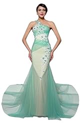 One Shoulder Tulle Sheath  Dress with a Brush/Sweep Train 