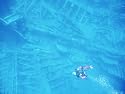 A Diver Explores the Wreck of the R.M.S. Rhone Photographic Poster Print, 16x12