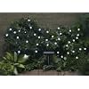 Smart Solar 3732WR30 Solar Light String, 30 White LEDs with Crystal Ball Covers