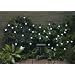 Smart Solar 3732WR30 Solar Light String, 30 White LEDs with Crystal Ball Covers