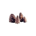 Peterson Decorative Ceramic Pine Cones Set Of 4 Assorted Sizes