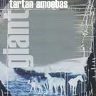 Giant-Tartan Amoebas IRCD066