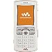 Sony Ericsson W800 Unlocked Cell Phone with 2 MP Camera, MP3/Video Player, Memory Stick Pro Duo Slot--U.S. Version with Warranty (Orange/White)