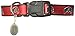 Sporty K9 NCAA Ohio State Buckeyes Dog Collar, Medium/Large