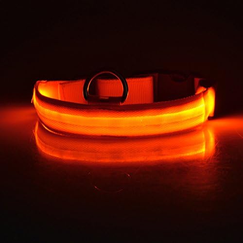 LED Flashing Dog Collar - No Battery Required (Red, Large)