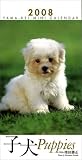 子犬 ミニカレンダー 2008