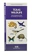 Texas Wildlife: An Introduction to Familiar Species (State Nature Guides)