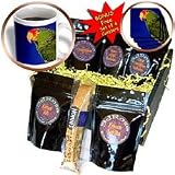 Birds - Green Cheeked Amazon Parrot - Coffee Gift Baskets - Coffee Gift Basket