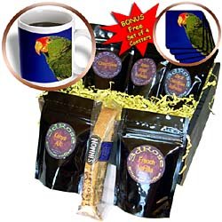 Birds - Green Cheeked Amazon Parrot - Coffee Gift Baskets - Coffee Gift Basket by 3dRose LLC