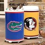 NCAA Coola Can Refrigerator: Michigan