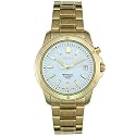 Seiko Men's Perpetual Calendar Watch #SNQ012
