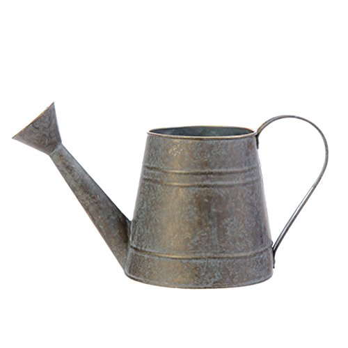 Small Silver Galvanized Iron Watering Can for Plants, 4.5 X 5.5 Inches