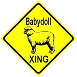 Babydoll Xing Sign Sheep Crossing