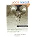 How the Body Shapes the Way We Think: A New View of Intelligence (Bradford Books)