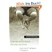 How the Body Shapes the Way We Think: A New View of Intelligence (Bradford Books)