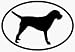 Border Terrier