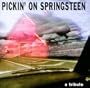 Pickin' on Bruce Springsteen