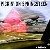Pickin' on Bruce Springsteen