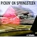 Pickin' on Bruce Springsteen