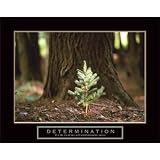 Determination Little Pine Tree Motivational Poster Inspirational Art Print