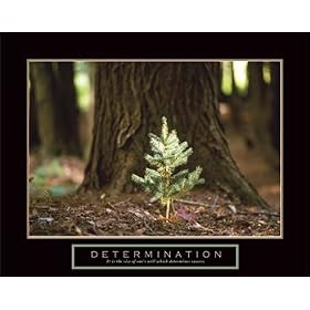 Determination Little Pine Tree Motivational Poster Inspirational Art Print