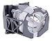 InFocus Lp425Z/435Z Replacement Lamp Metal Halide