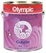 Sporting Goods : Gunzite Epoxy Primer for Swimming Pools