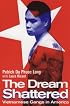 The Dream Shattered: Vietnamese Gangs in America