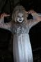 Business Plan: Haunted House Facility NEW 08!