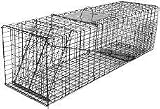 Live Animal Trap: XL Raccoon or Woodchuck with Collapsible Single Door