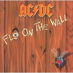 Fly On The Wall
