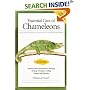 Essential Care of Chameleons (Advanced Vivarium Systems)