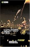 Wounded Cities: Destruction and Reconstruction in a Globalized World