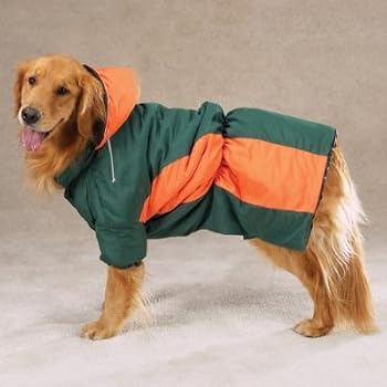 Zack & Zoey Camp Parka Dog Jacket