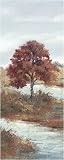 River Elm by Diann Haist. CANVAS with 1 1/2 inch bars. 8.00 inches width by 15.08 inches height. Highest Quality Art Poster Print