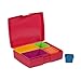 Laptop Lunches Bento-ware Bento Lunch Box with BPA-Free, Leak-proof Containers, Garden (L600-Garden)