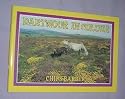 Dartmoor in Colour