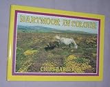 Dartmoor in colour
