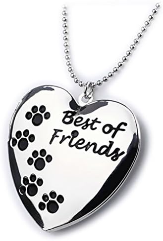 Vivnf Locket Best of Friend Photo Picture Pendant Necklace Double Heart Charm for Women Silver tone