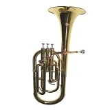 Merano Student, Intermediate E Flat Gold Alto Horn with Case, Mouth Piece,A pair of white gloves;Soft Cleaning Cloth,Metro Tuner,Music Stand