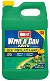 Scotts/RoundUp #0410510 Gallon Concentrate Weed B Gon Max