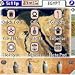 Egyptian Theme for SilverScreen 3.x downloadable Software
