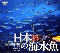 日本の海水魚 DVD映像図鑑
